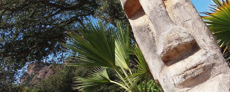 Lorsqu’un palmier mort se situe dans un endroit peu accessible pour l’abattre, la sculpture de palmier est une solution idéale