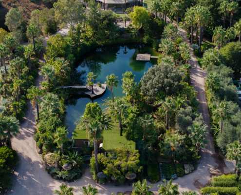 Pépinière Tropicana Flore et son lac