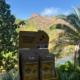 Des fleurs pour les abeilles Tropicana Flore