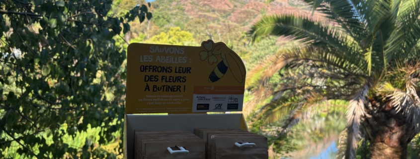 Des fleurs pour les abeilles Tropicana Flore